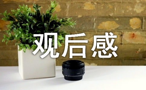 唐人街探案观后感合集15篇