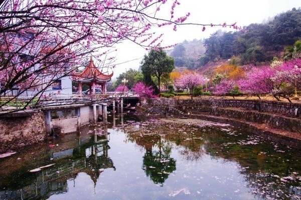 梅洋村新农村建设_福州梅洋村发展_梅洋生态旅游村