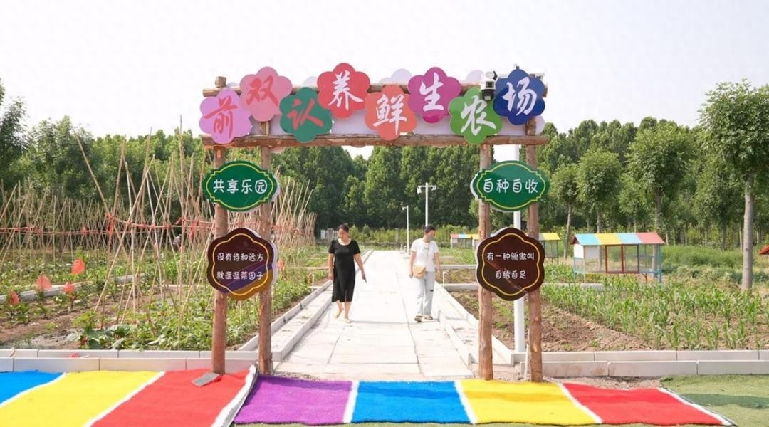 任城区认养经济_济宁李营镇还会开发吗_升级网络直播农产品销售