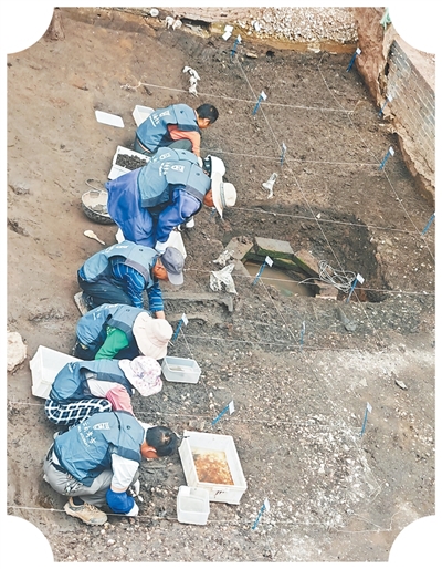 河泊所遗址 考古发现 滇国相印_古滇国与古滇文化