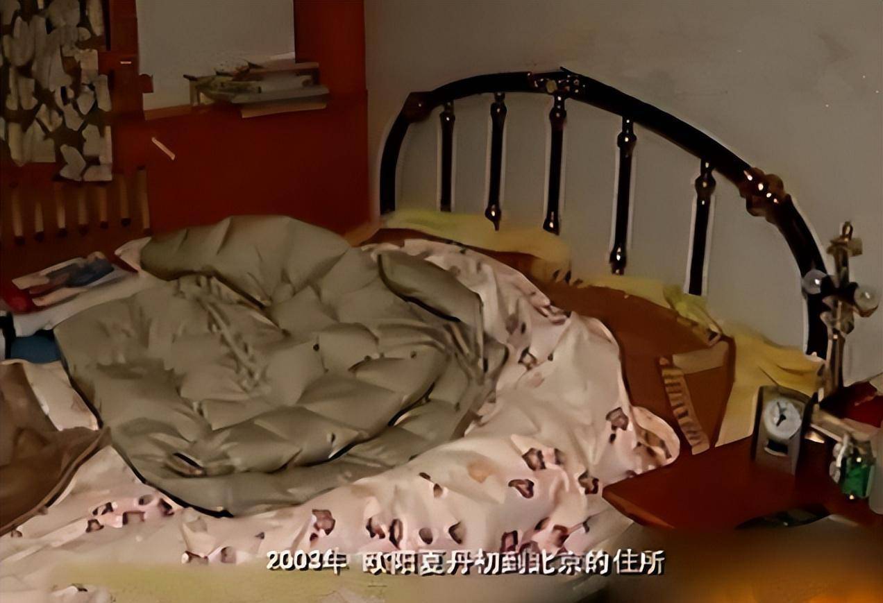 操央视主持人欧阳夏丹_欧阳夏丹 新闻联播 消失原因