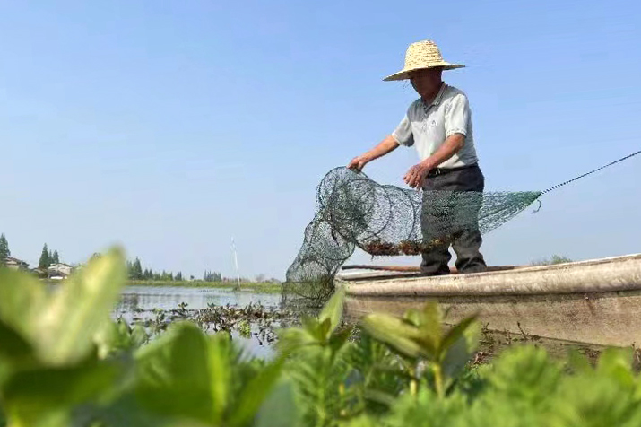 长潭水库退塘还库生态修复_鸬鹚珠蚌虾蟹养殖模式转变_洞庭湖生态修复野生动物保护