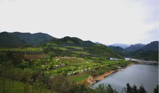 生态文明建设与可持续发展—科学发展主题案例_基于自然的解决方案中国实践典型案例_官厅水库流域生态治理案例