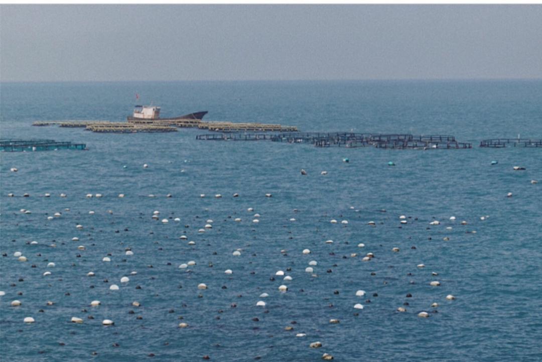 小箬村花鸟岛枸杞岛攻略_上海周边近的海岛_上海周边海岛推荐