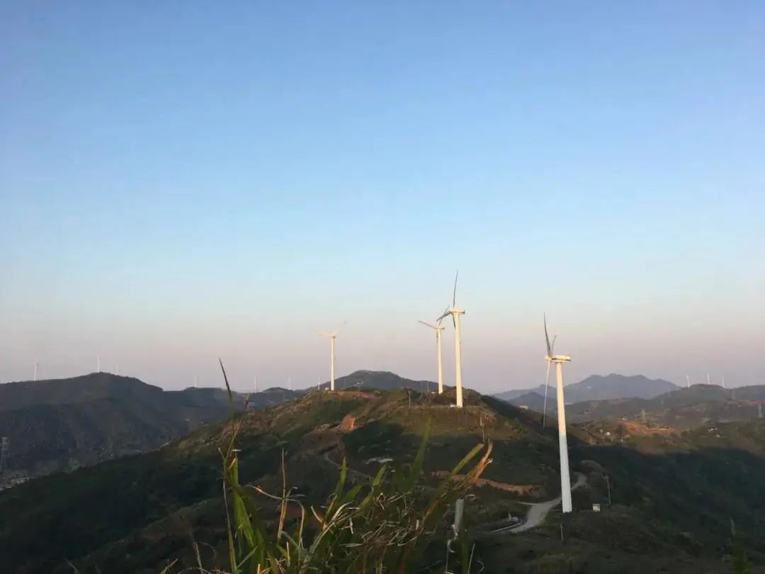 上海周边近的海岛_上海周边海岛推荐_小箬村花鸟岛枸杞岛攻略