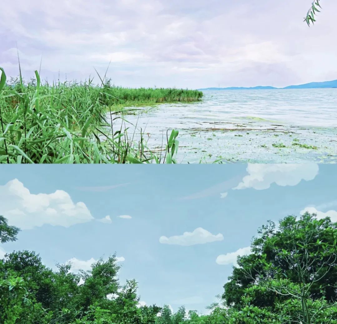 上海周边海岛推荐_小箬村花鸟岛枸杞岛攻略_上海周边近的海岛