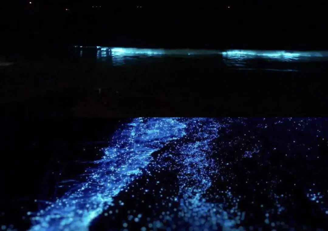 上海周边海岛推荐_小箬村花鸟岛枸杞岛攻略_上海周边近的海岛