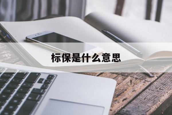 标保是什么意思(保险公司标保是什么意思)
