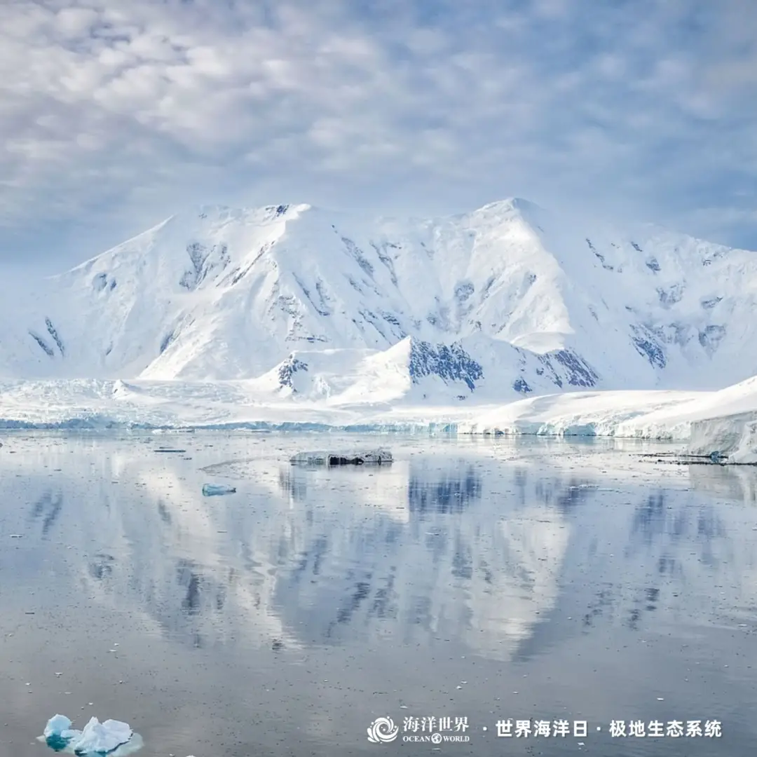 盐沼生态系统_红树林生态系统_生态系统最重要成分