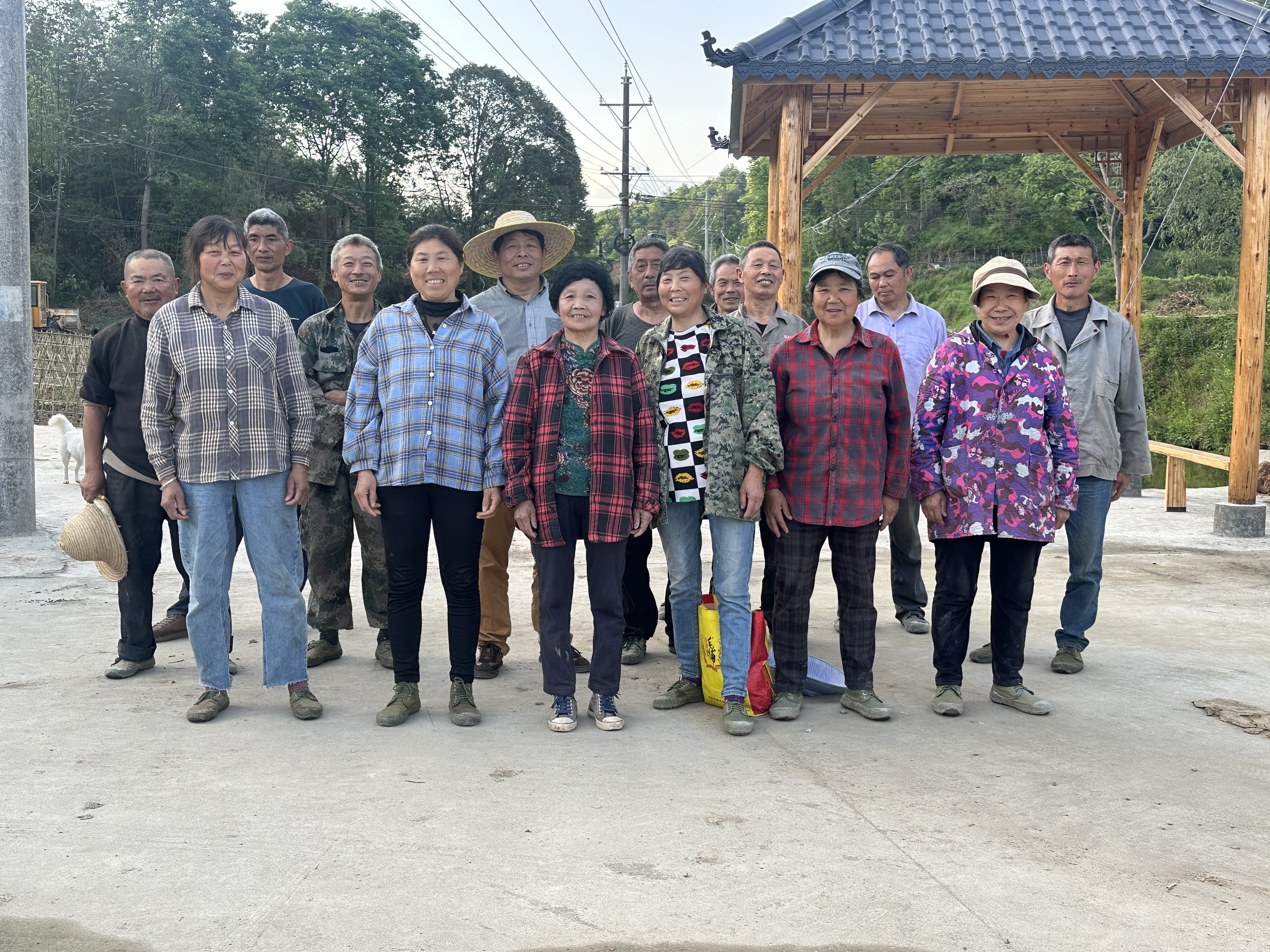 乡村文旅政策分析_十五五规划乡村文旅_党的十七届五中全会 文化产业