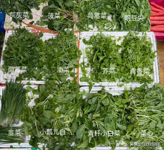 毒芹识别_野菜毒性_毛茛敷手后,身体里有毒素没有