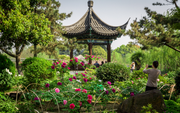 江苏省旅游攻略_玄武湖乘船赏景_五一运河沿线旅游攻略