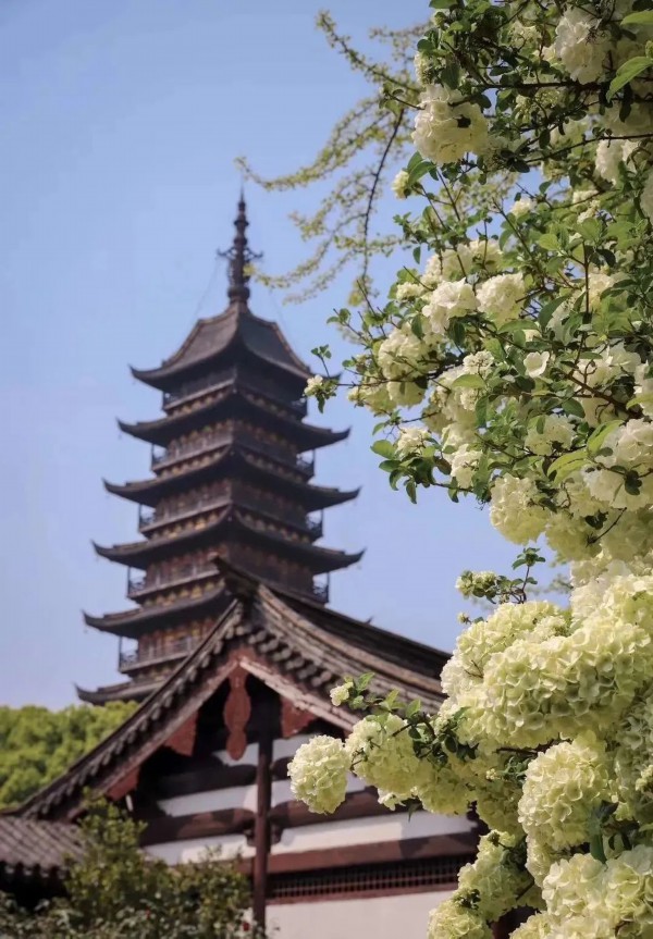 五一运河沿线旅游攻略_江苏省旅游攻略_玄武湖乘船赏景