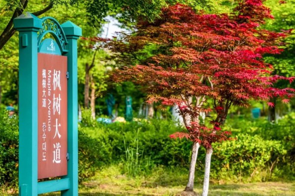 江苏省旅游攻略_五一运河沿线旅游攻略_玄武湖乘船赏景