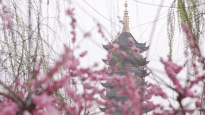 江苏省旅游攻略_玄武湖乘船赏景_五一运河沿线旅游攻略