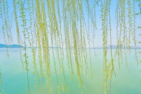 玄武湖乘船赏景_江苏省旅游攻略_五一运河沿线旅游攻略