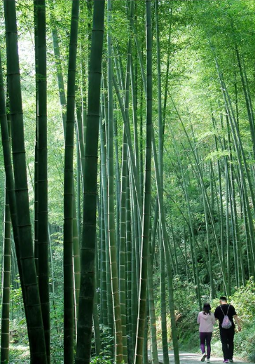江苏省旅游攻略_五一运河沿线旅游攻略_玄武湖乘船赏景