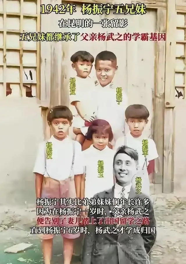 杨振汉 传记_杨振武家庭_杨振汉 早年经历