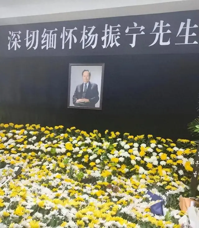 杨振汉 93岁 低调大佬_杨振武家庭