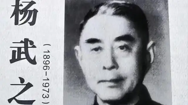 杨振汉 事迹_杨振武家庭_杨振汉 传记