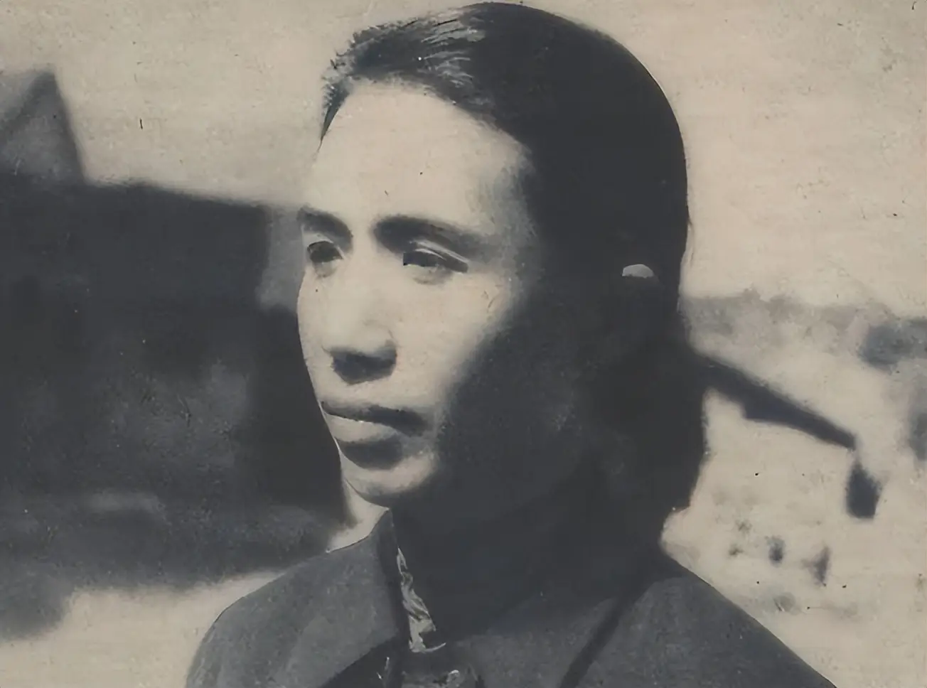 杨振武家庭_杜致仁留学贷款悲剧_杨振宁小舅子自杀