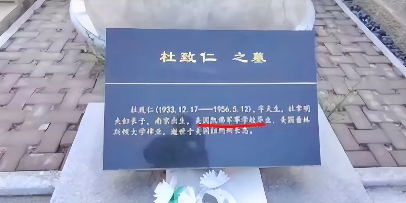 杨振武家庭_杜致仁留学贷款悲剧_杨振宁小舅子自杀