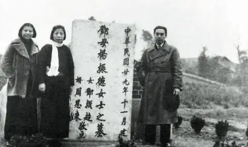 杨振德坚韧性格_杨振德生平经历_杨振武家庭
