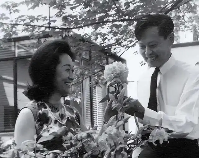 杨振宁小舅子杜致仁自杀事件_杨振宁父亲杨武之未原谅原因_杨振武家庭