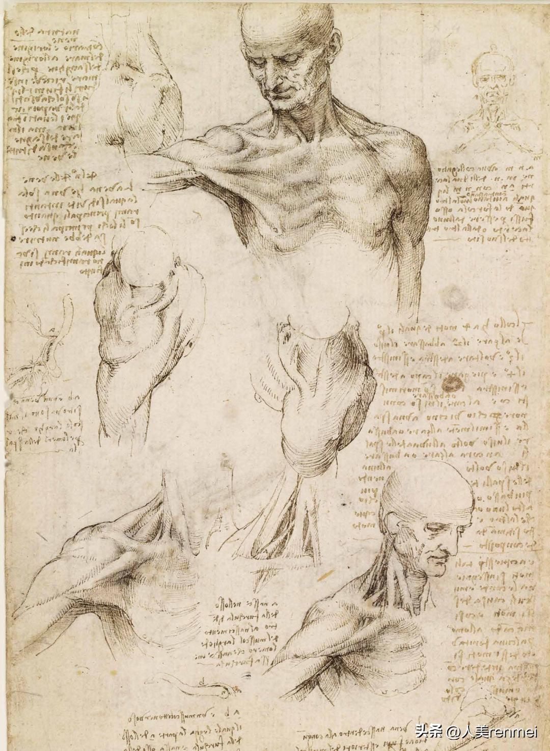 俄罗斯素描教学理念_手绘线条--物象空间的表达_西方素描教学体系