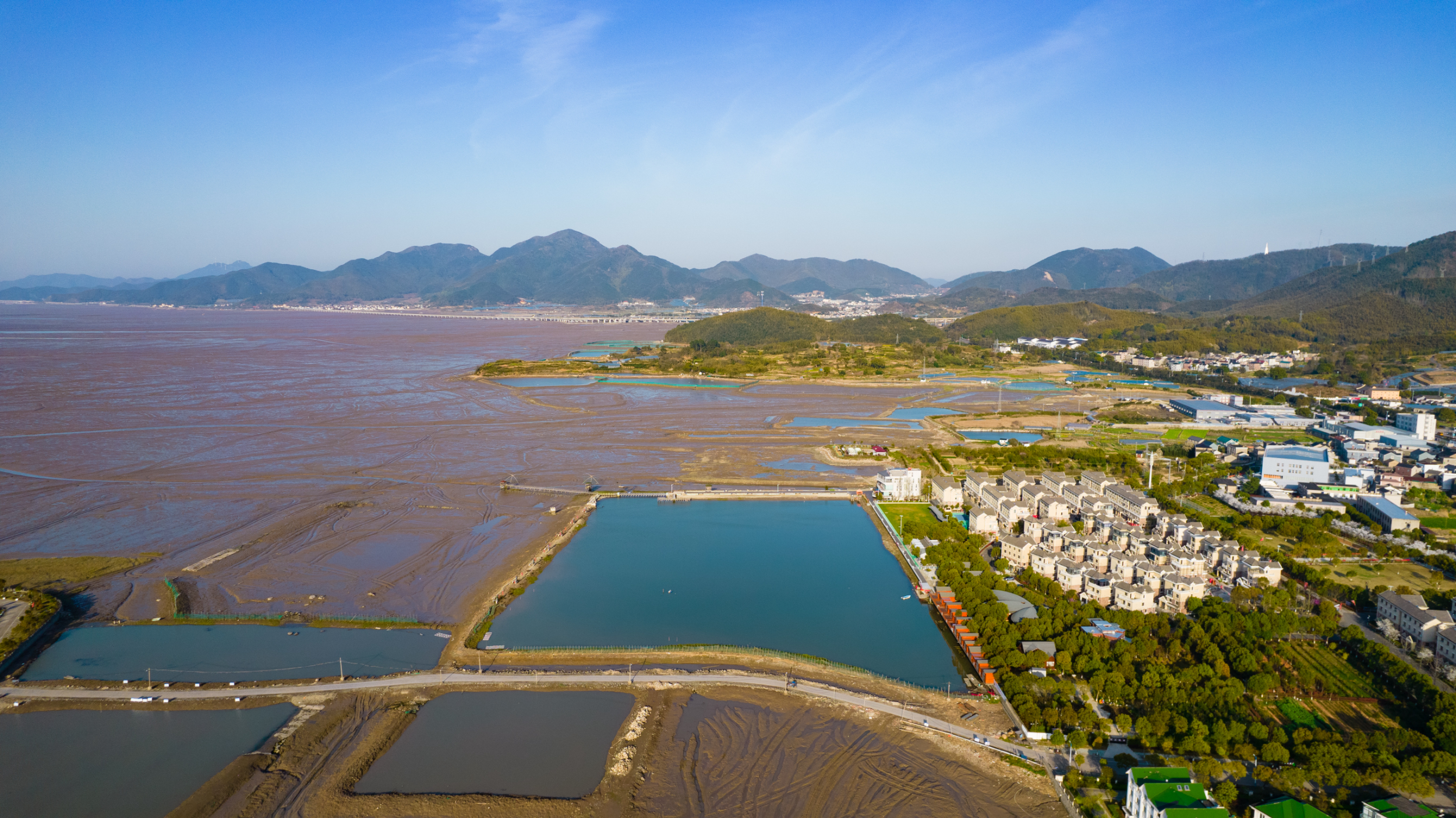 宁波象山西沪港生态修复_象山港生态环境保护与修复技术研究_互花米草治理