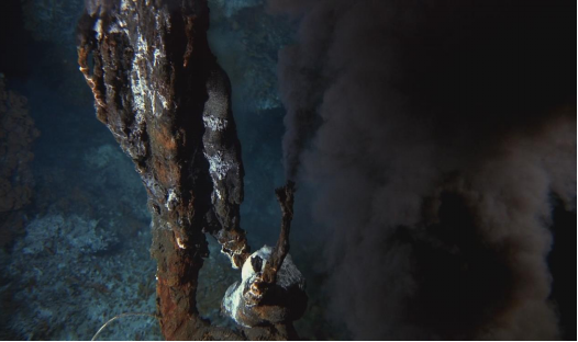 海底冷泉生态系统_海底火山生态系统_海底热泉系统