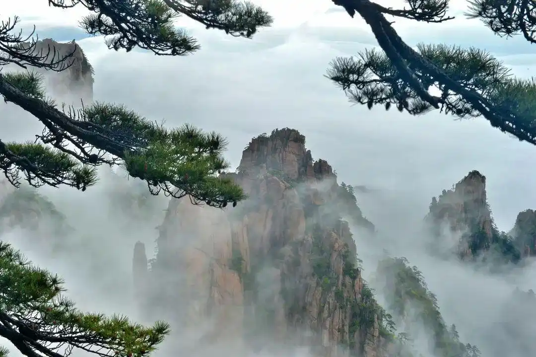 哈利路亚山_阿凡达2 哈利路亚山 原型黄山