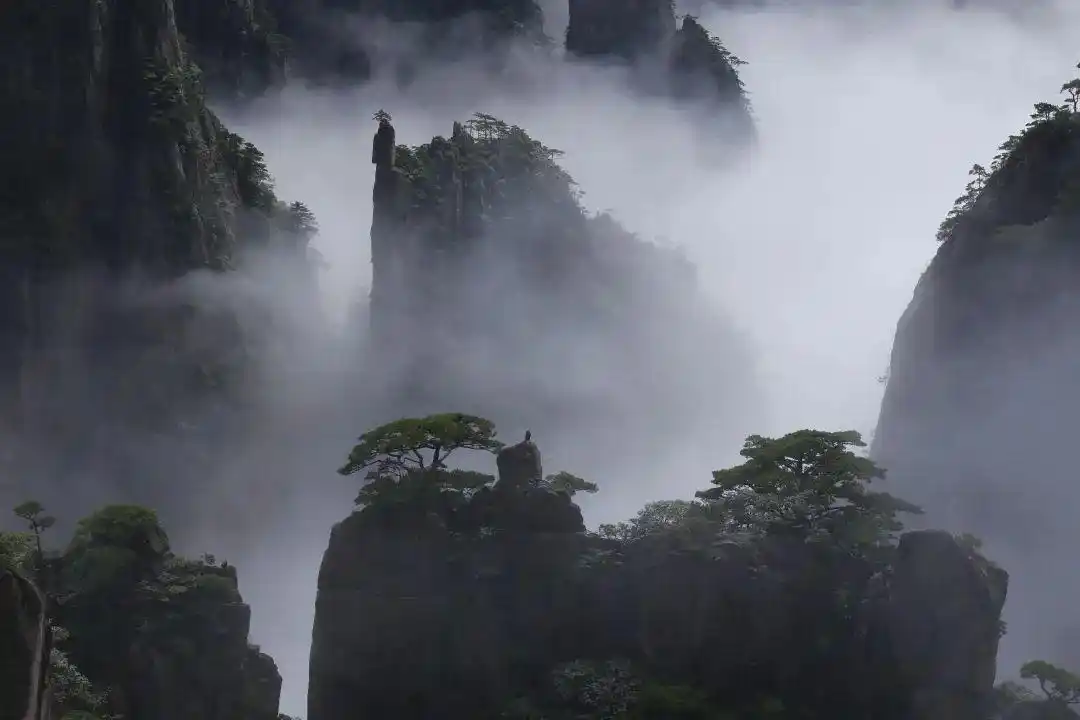 哈利路亚山_阿凡达2 哈利路亚山 原型黄山