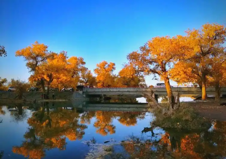 西北壮美风光自驾游_郑州出发自驾游8天推荐_郑州出发8天自驾游线路