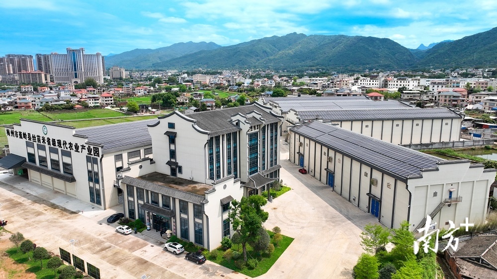蕉岭青年之家 县域共青团基层组织改革 乡村振兴志愿者_蕉岭吧自行车