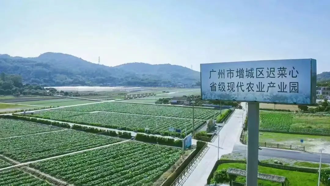 田园牧歌生态旅游渡假村发展战略2_广州乡村游市场分析_广州乡村旅游发展