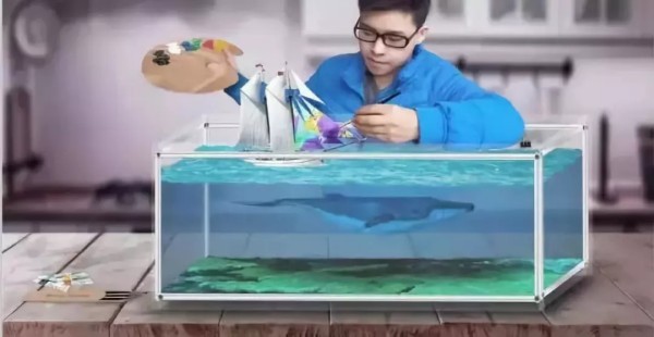北方硬水养热带鱼南方软水养金水酸碱冲突_生态鱼缸换水_换水不当新手养鱼隐形杀手 温度骤变超3度PH值震荡超0.3