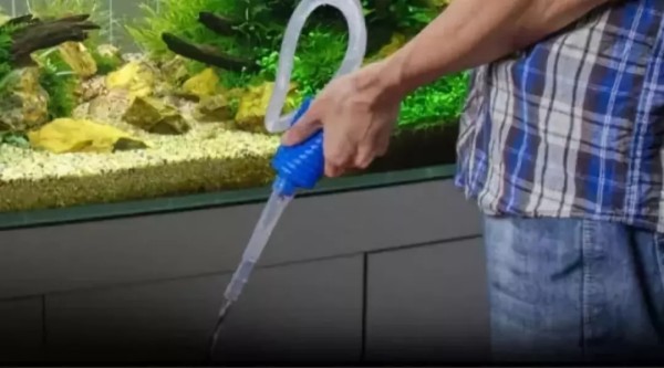 北方硬水养热带鱼南方软水养金水酸碱冲突_换水不当新手养鱼隐形杀手 温度骤变超3度PH值震荡超0.3_生态鱼缸换水