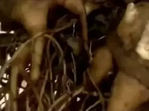 农户种植特殊的中药材, 每亩地产值达2万, 是普通农作物的10多倍