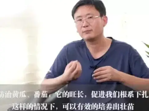 夏天大棚这样种才高产, 尤其是番茄、黄瓜