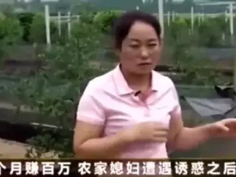 《致富经》农村妇女养的是什么, 三个月纯赚一百多万!