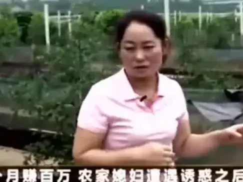 《致富经》农村妇女养的是什么, 为何三个月纯赚一百多万