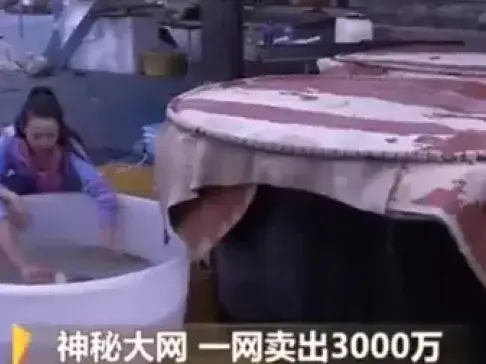 浙江大哥掌握独门养殖技术, 养殖的鱼一条能卖1000元, 年入1000万