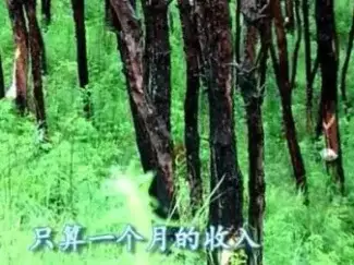 农村这活来钱最快? 很多农民靠它盖楼、买车, 看完不敢相信!