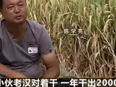 致富经: 颗颗是黄金招招赚大钱, 稳赚不赔, 年销售额高达2.5亿元
