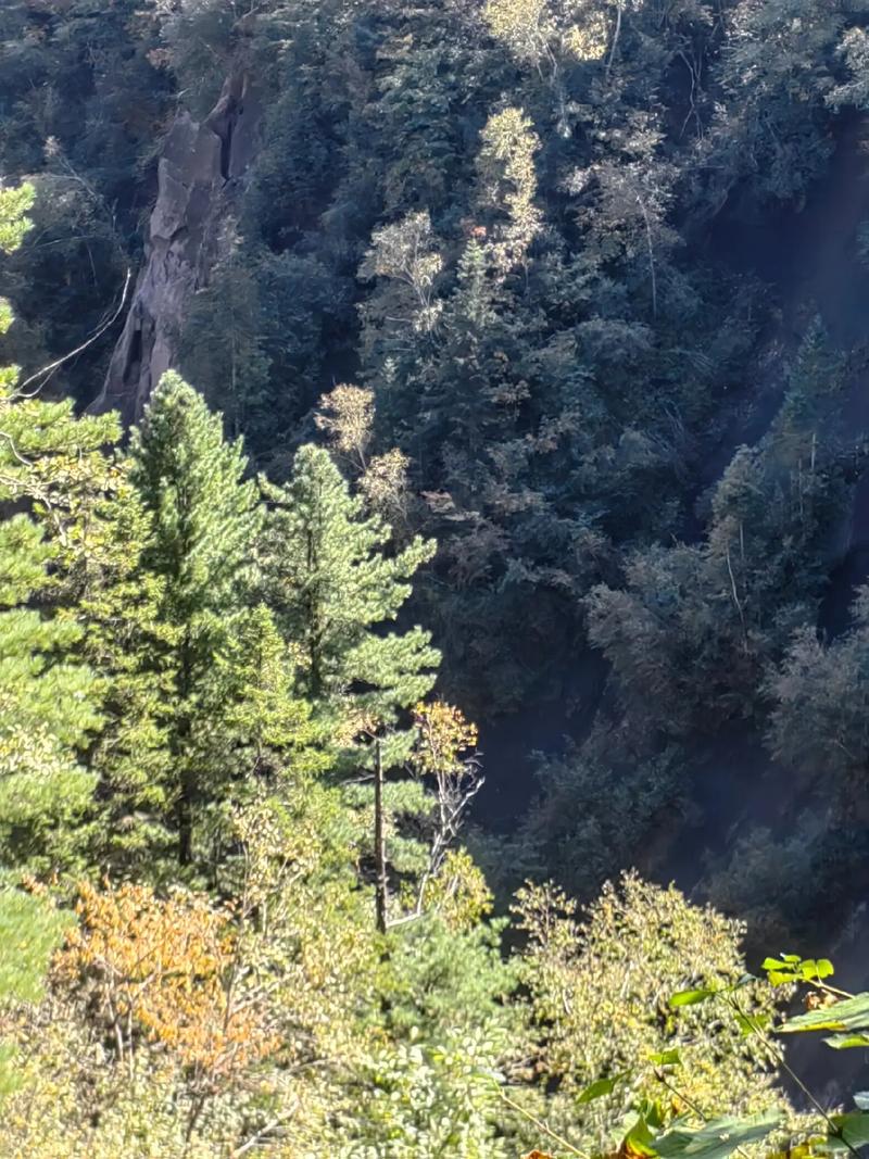 长白山深度三日游攻略_雪山天池温泉林海旅游_长白山天池西坡