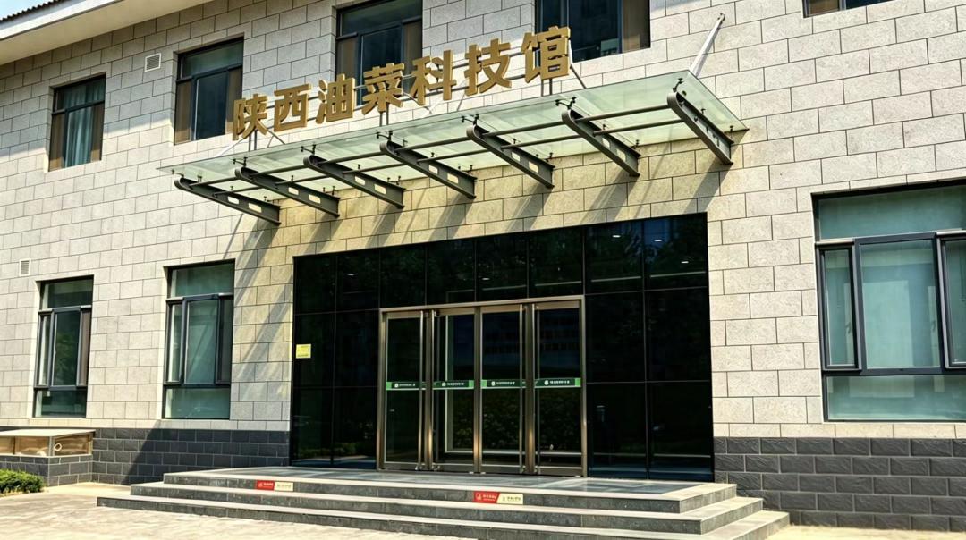 陕西油菜科技馆_陕西科技馆_油菜品种展示