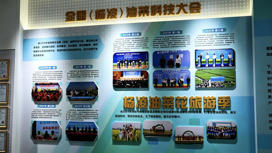 油菜品种展示_陕西科技馆_陕西油菜科技馆