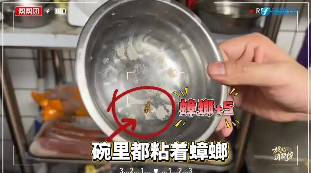 牛约堡食品安全问题_酒店现多只蟑螂 消杀后次日又现_牛约堡厦门门店检查