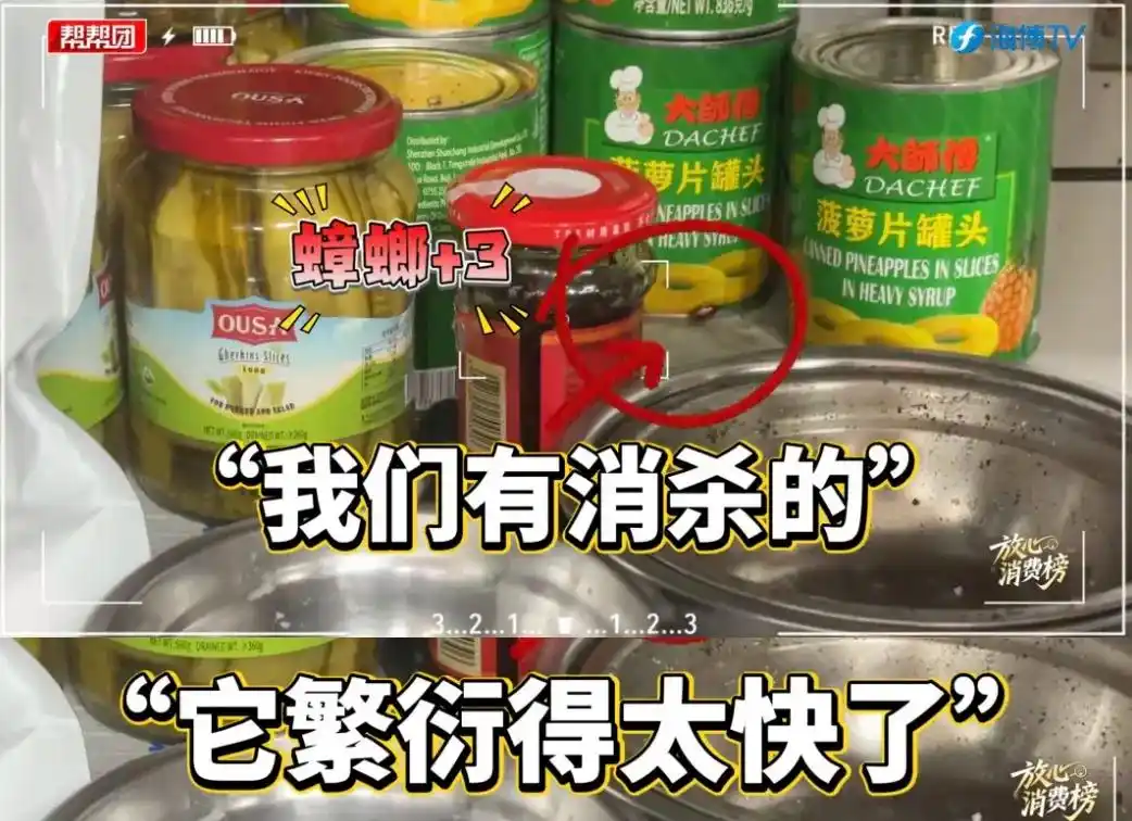 牛约堡食品安全问题_酒店现多只蟑螂 消杀后次日又现_牛约堡厦门门店检查